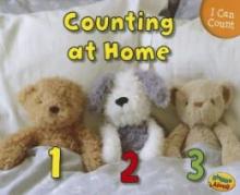 Cover image of Counting at home