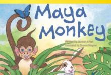 Cover image of Maya Monkey