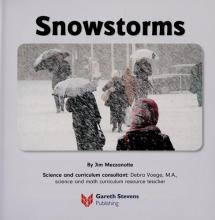 Cover image of Snowstorms