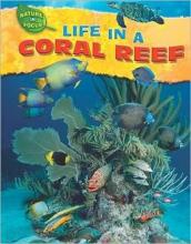 Cover image of Life in a coral reef