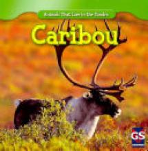 Cover image of Caribou