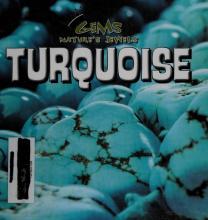 Cover image of Turquoise