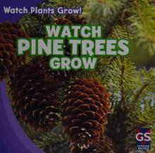 Cover image of Watch pine trees grow