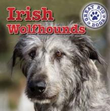 Cover image of Irish wolfhounds