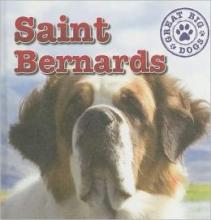 Cover image of Saint Bernards