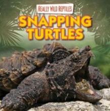 Cover image of Snapping turtles