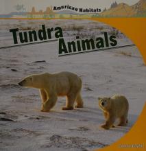 Cover image of Tundra animals