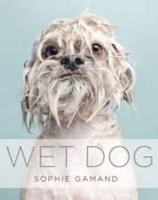 Cover image of Wet dog