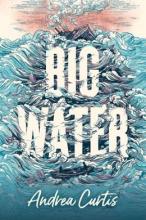 Cover image of Big water