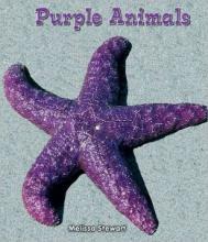 Cover image of Purple animals