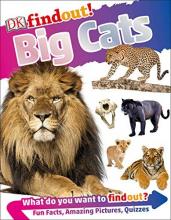 Cover image of Big cats