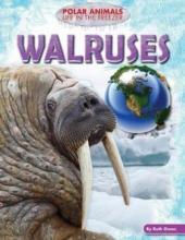 Cover image of Walruses