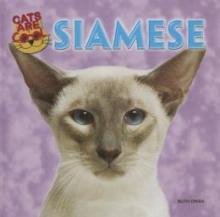 Cover image of Siamese