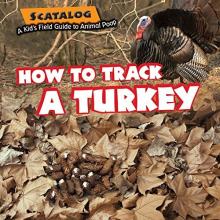 Cover image of How to track a turkey