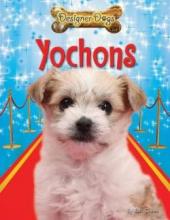 Cover image of Yochons