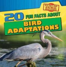 Cover image of 20 fun facts about bird adaptations