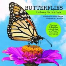 Cover image of Butterflies