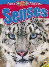 Cover image of Senses