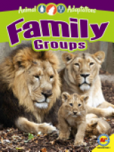Cover image of Family groups