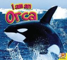 Cover image of Orca