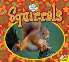 Cover image of Squirrels