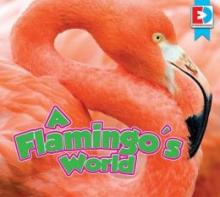 Cover image of A flamingo's world