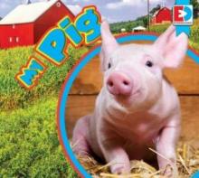 Cover image of My pig