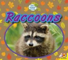 Cover image of Raccoons