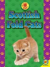 Cover image of Scottish fold cats