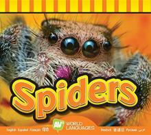 Cover image of Spiders