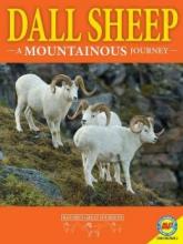 Cover image of Dall sheep