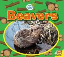 Cover image of Beavers