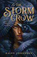 Cover image of The storm crow