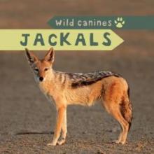 Cover image of Jackals