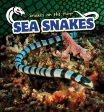 Cover image of Sea snakes