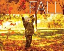 Cover image of Fall