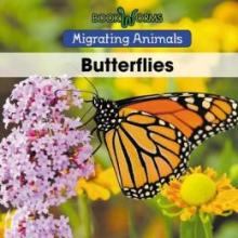 Cover image of Butterflies