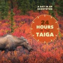 Cover image of 24 hours in the taiga