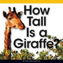 Cover image of How tall is a giraffe?