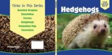 Cover image of Hedgehogs