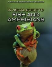 Cover image of A visual guide to fish and amphibians