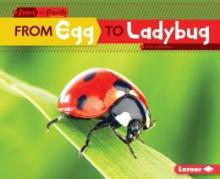 Cover image of From egg to ladybug