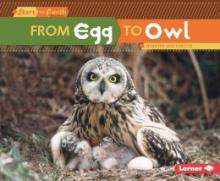 Cover image of From egg to owl