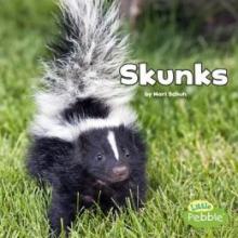 Cover image of Skunks