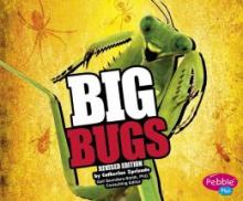 Cover image of Big bugs