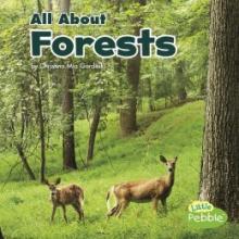Cover image of All about forests