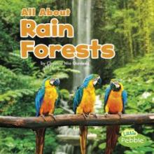 Cover image of All about rain forests
