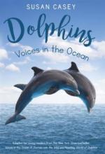 Cover image of Dolphins