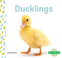 Cover image of Ducklings