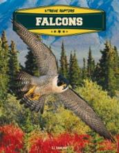 Cover image of Falcons